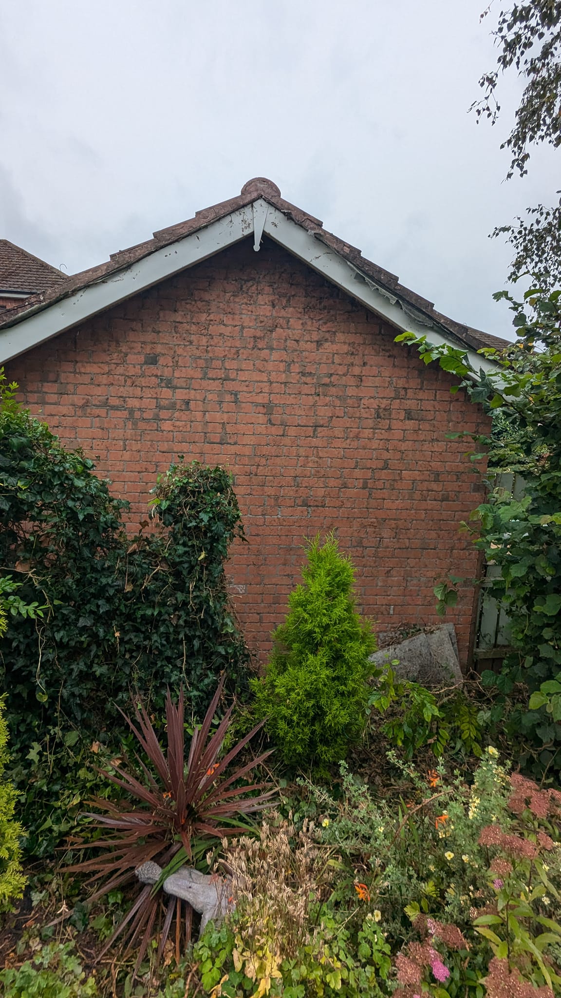moss has been removed by garden landscaping services