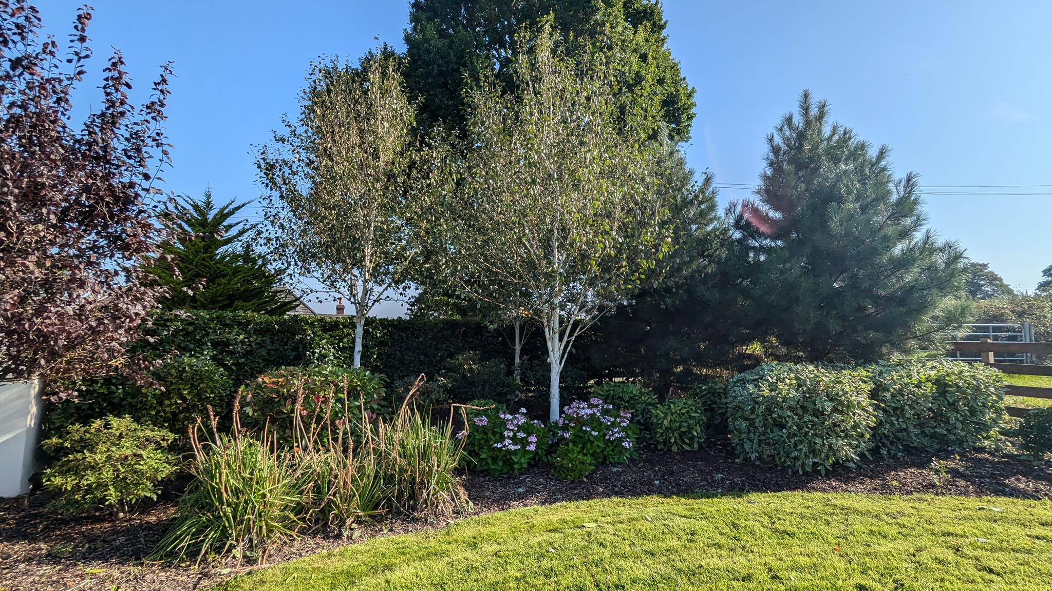 Landscaping Services Belfast