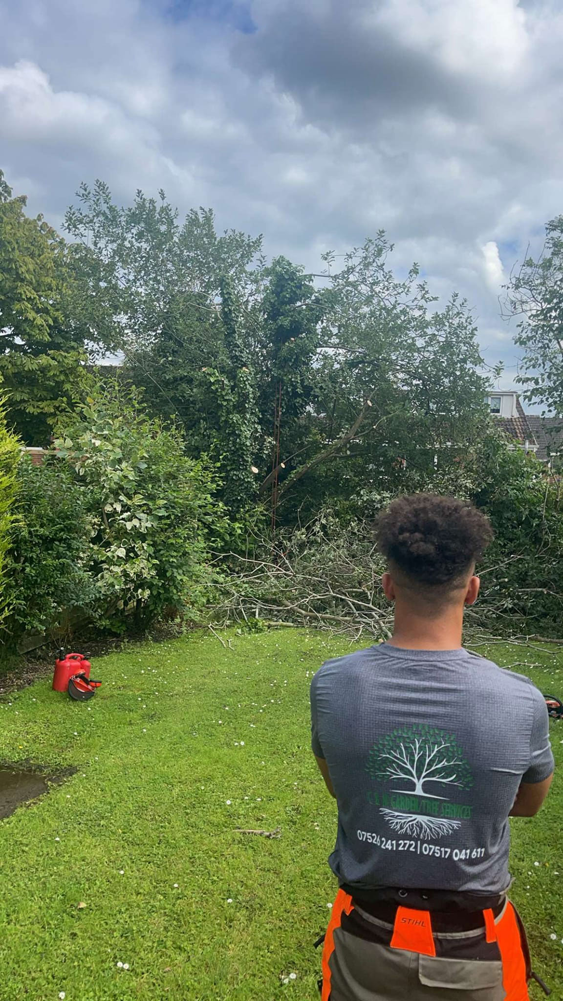 Tree Surgeon Belfast