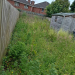 bush shrubbery to be cut overgrown