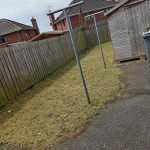 grass mowed cut cleaned