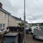 street lamppost tree trimming felling removal removed