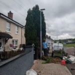 street lamppost tree trimming felling tree