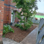 trees to be removed area landscaper