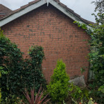 moss has been removed by garden landscaping services