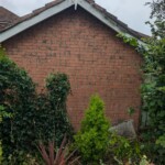 moss has been removed by garden landscaping services