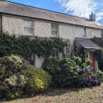 cottage house moss ivy hedges