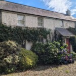cottage house moss ivy hedges
