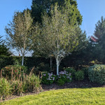 Landscaping Services Belfast