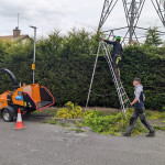 hedge trimming ladder wood chipper