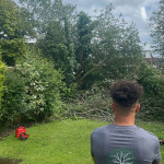 Tree Surgeon Belfast